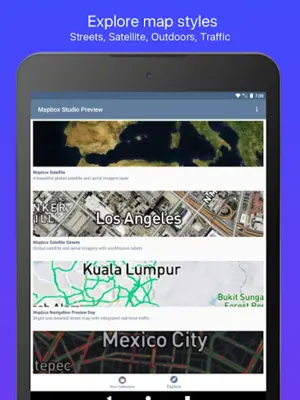 Mapbox Studio Preview android App screenshot 1